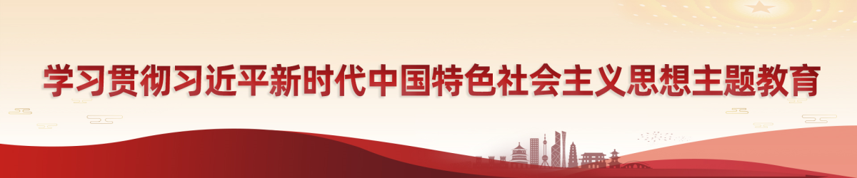 学习贯彻习近平新时代中国特色社会主义思想主题教育